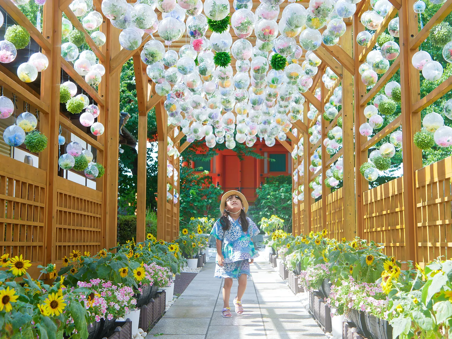 2025年盆フォトさだきち＆青雲くん賞