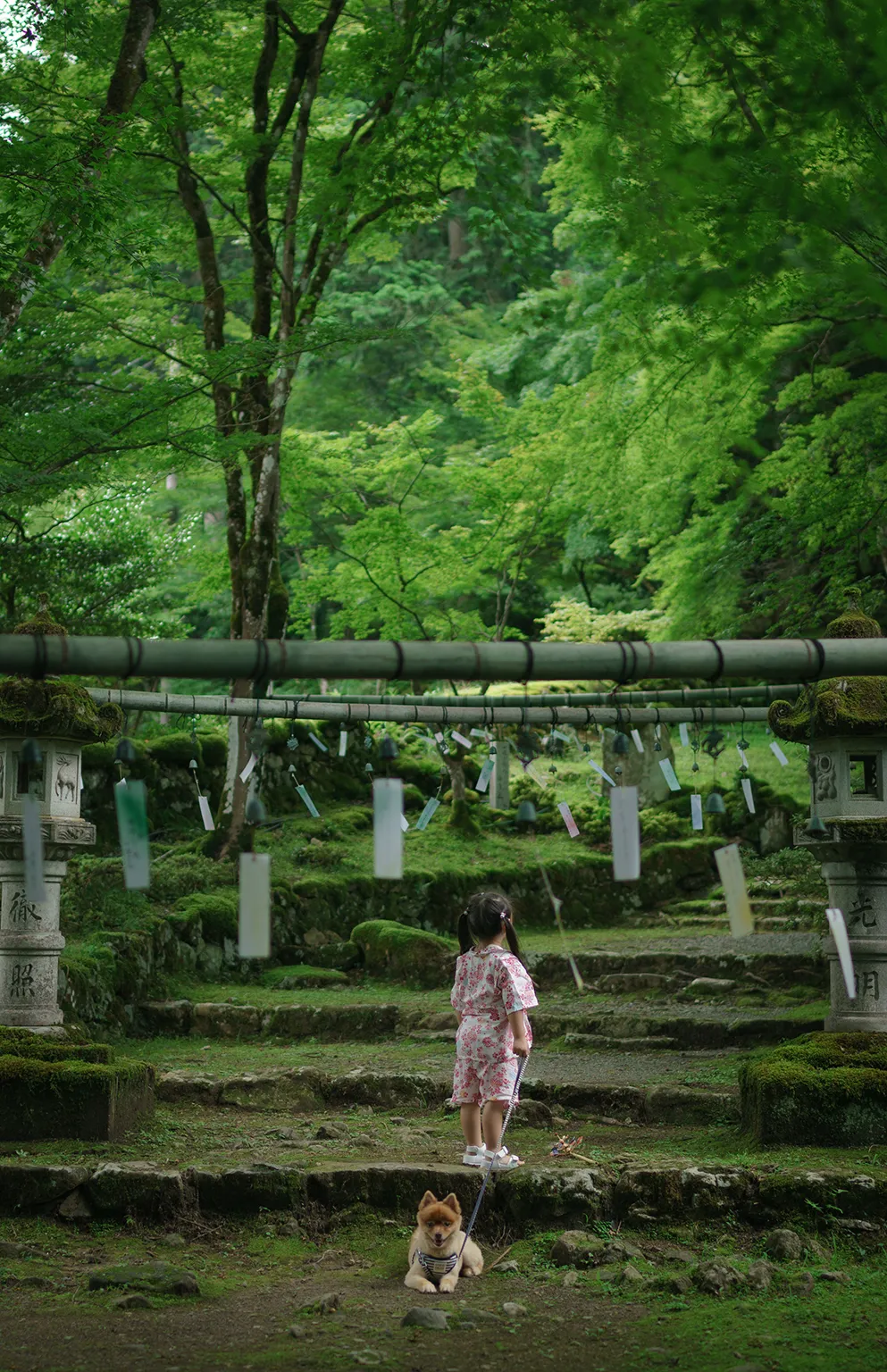2024年盆フォト青雲くん賞