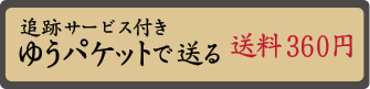 ゆうパケットで送る