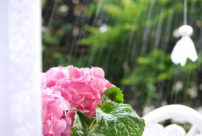 気になる部屋干しの臭いに梅雨のアロマ