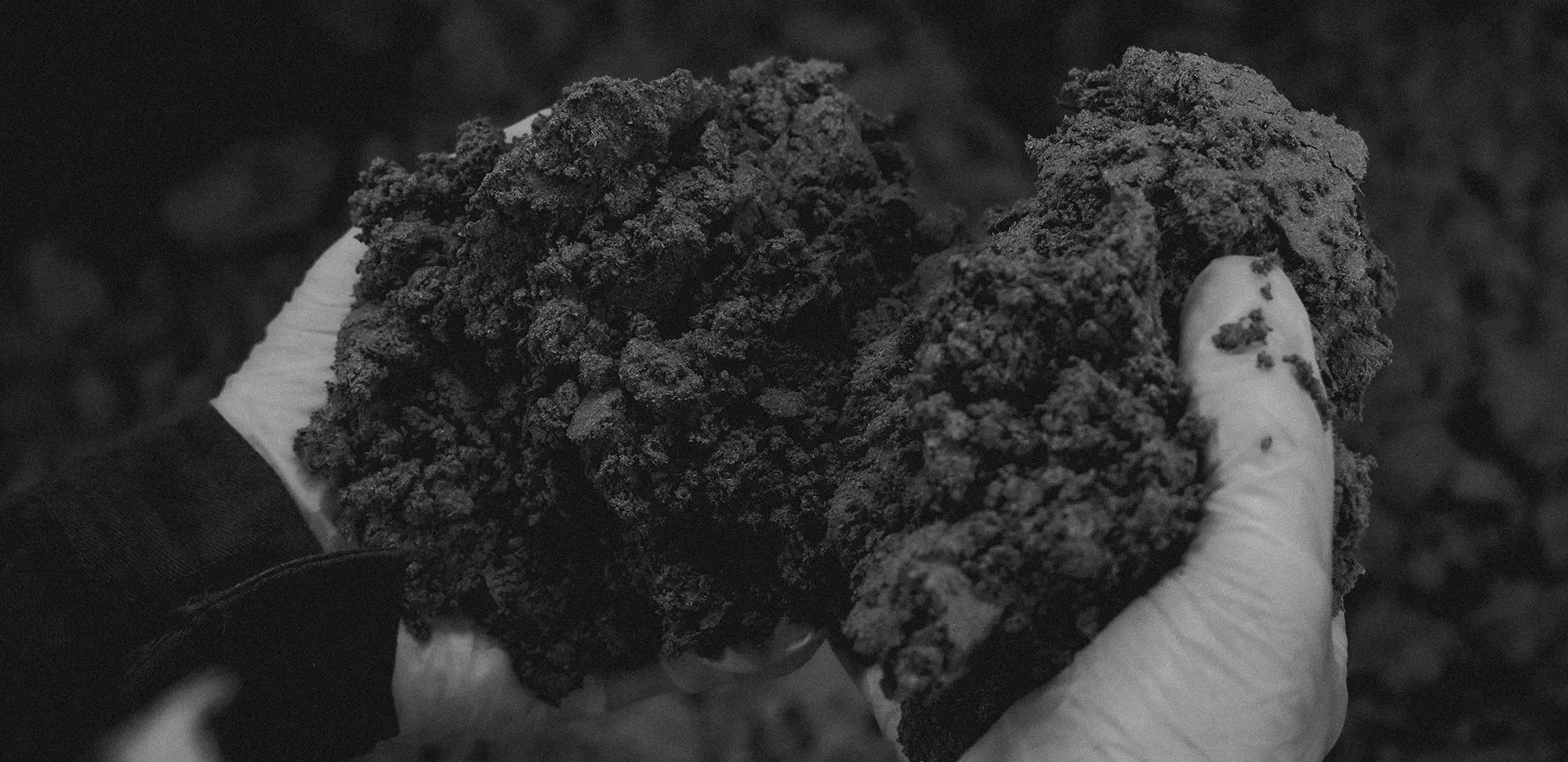 KUNTOU 制作の様子