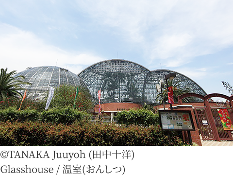 ©TANAKA Juuyoh (田中十洋)Glasshouse / 温室(おんしつ)