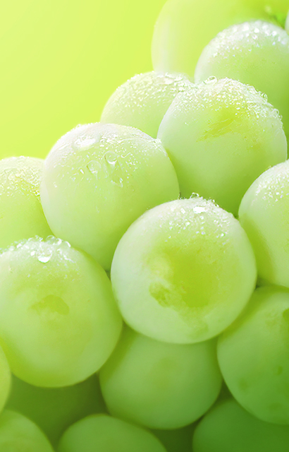 シャインマスカット