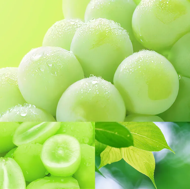 かたりべ　シャインマスカット