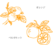 anmingplus