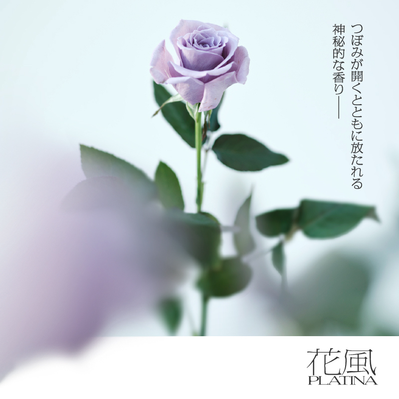 花風プラチナ