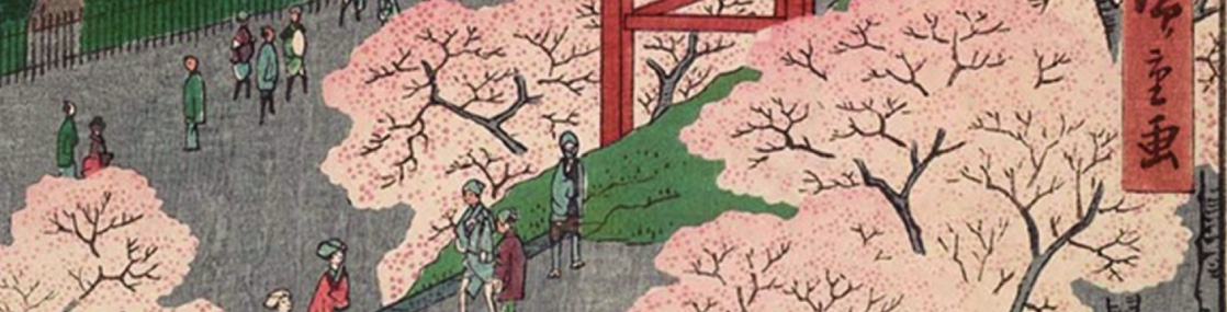 桜の花衣